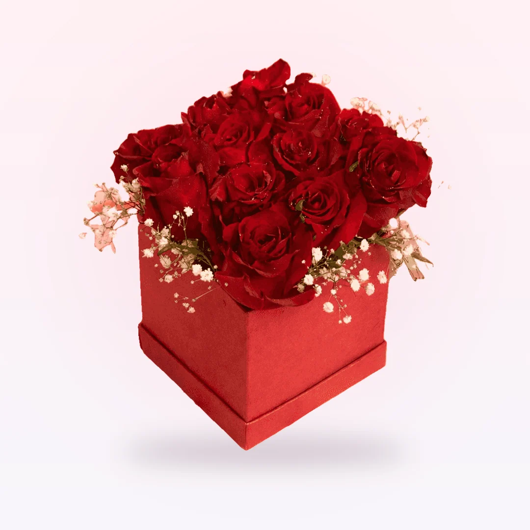 Blushing Roses